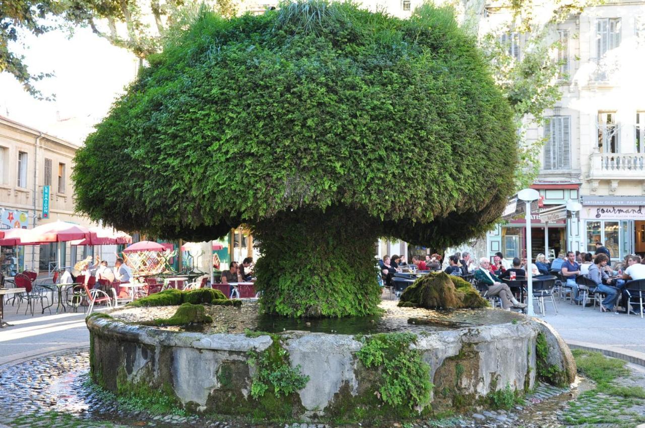 La Pause Salonaise "Au Coeur De La Ville" Exteriör bild